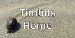 Timbits Home Page